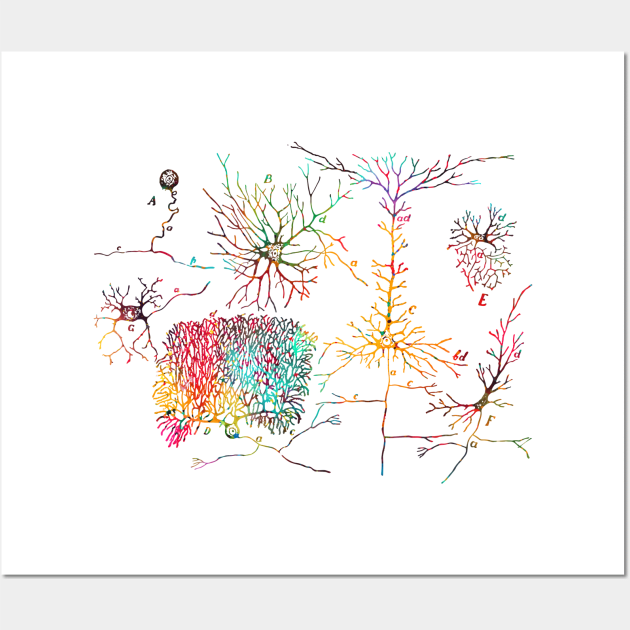 Nerve cells Wall Art by erzebeth